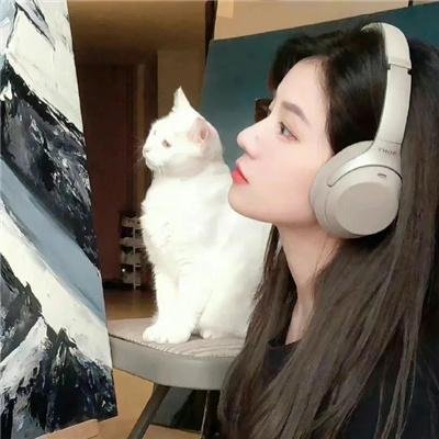 女神异闻录5 动画版 Dark Sun…